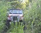 Greg's CJ-7 in the tall grass