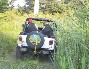 Greg's CJ-7 in the tall grass