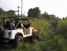 Greg's CJ-7 in the tall grass with JeepMud