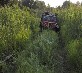 Mike's JeepMud in the tall grass