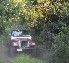 Greg's CJ-7 in the tall grass