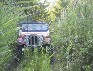 Greg's CJ-7 in the tall grass