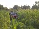 Mike's JeepMud in the tall grass