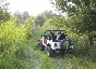 Greg's CJ-7 in the tall grass