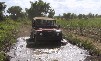 Craig in the Dominican mud