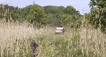 Rover in the field