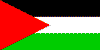 Palestinian Flag